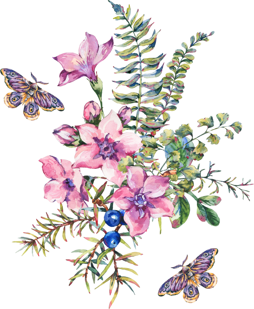 Forest plants, Pink Flowers, Moth, Botanical Watercolor