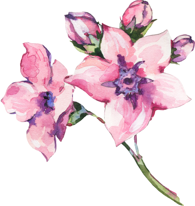 Pink Flower, Botanical Watercolor